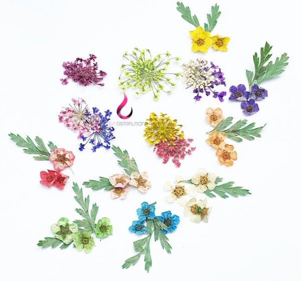 Fleurs séchées 03