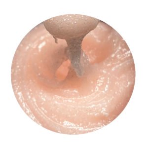 Acryl sugar nude 9